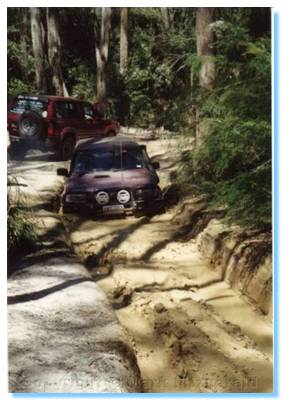 Toolangi Bog Hole