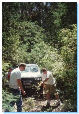 Clearing the Track