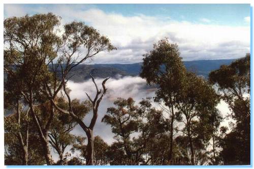 Above the clouds, Stillman's Track