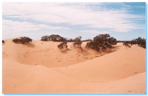 Gums inundated by the marching Perry Sandhills