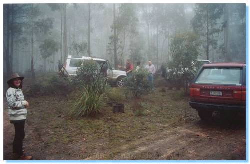 Lunch time in the mist