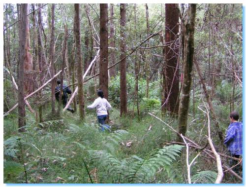 Mahesh, Smitha and Liam braving the "trail" to Allambee Beek Falls.