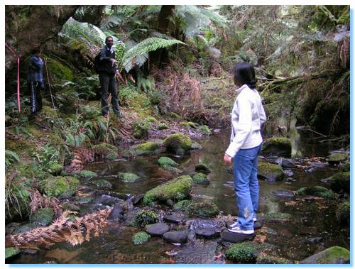 Crossing the creek, carefully...