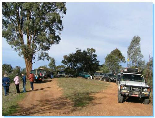 Club Trip vehicles at the lookout