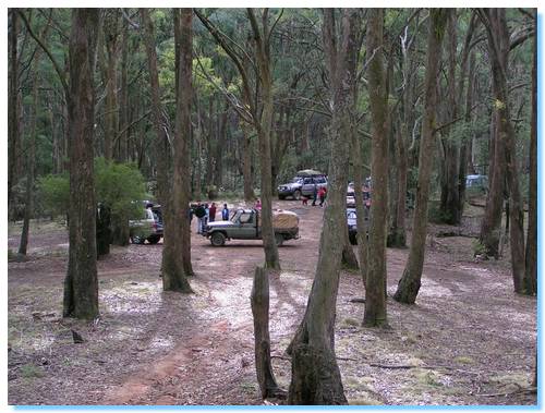 Morning tea at the historic area near Dry Creek - Strathbogie Ranges