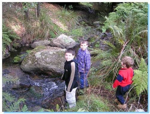 Lunch by Moonoo Creek