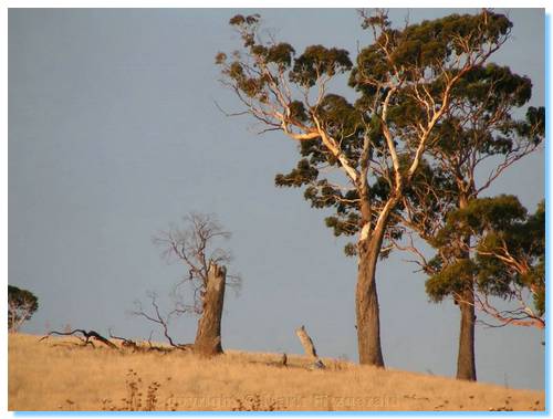 Sunset at Mt Franklin