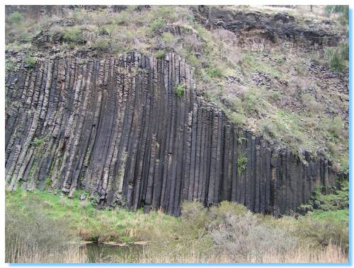 The Organ Pipes