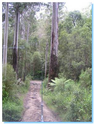 Nearing the end of the descent - Curtis Road