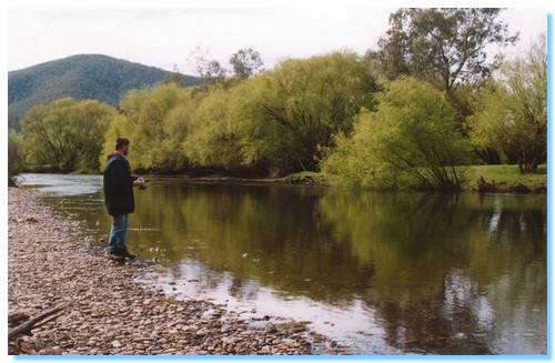 Fishing Mitta Mitta River near Tallandoon