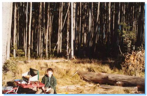 Lunch in the bush, what could be better?