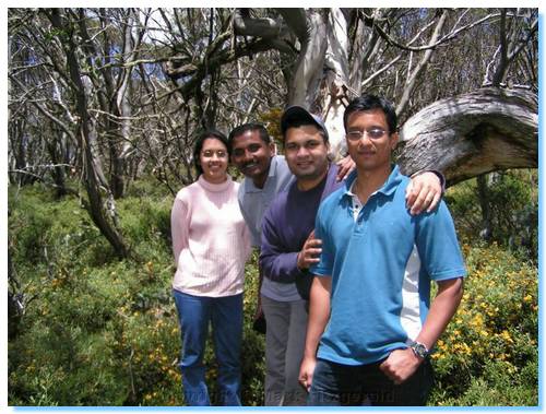 Rest stop by the Snow Gums on Mt Stirling