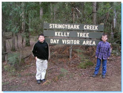 The infamous Stringybark Creek