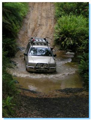 Cumberland River - Curtis Road