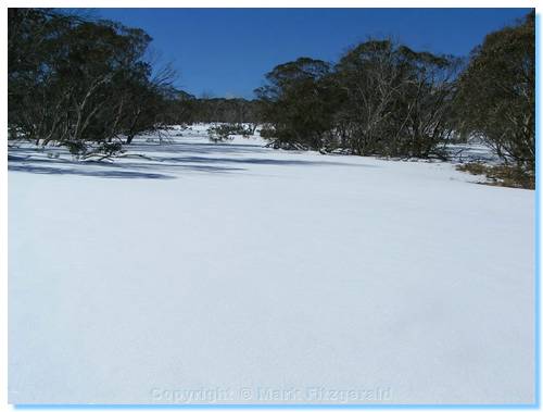 Untouched snow - The Gorge