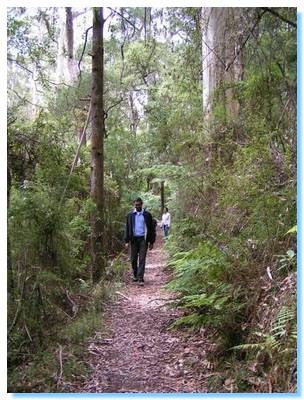 Walking to Upper Kalimna Falls