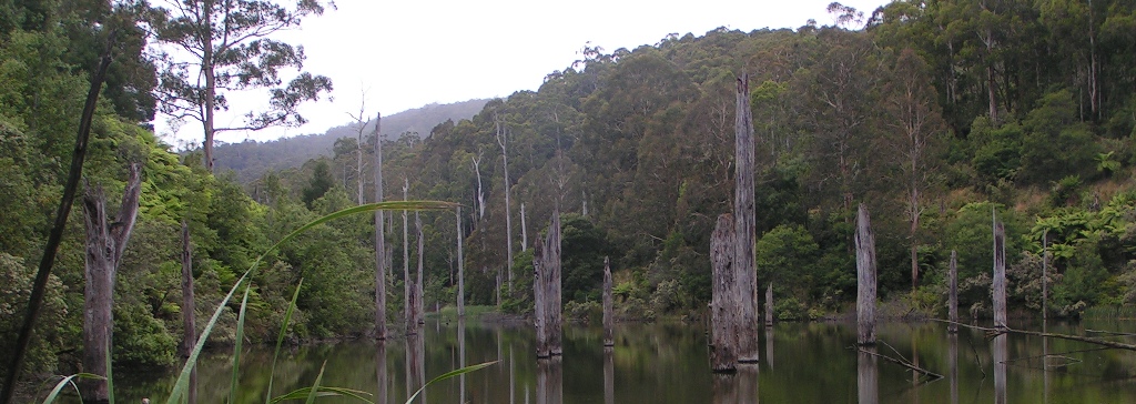 Lake Elizabeth, The Otways